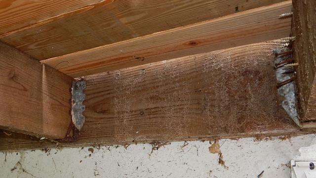 Deck not bolted to structure